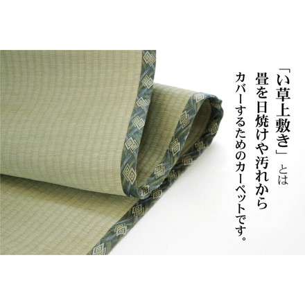 日本製 ラグ カーペット 敷き詰めタイプ 純国産 減農薬栽培 い草 上敷き カーペット 糸引織 『西陣』 江戸間6畳(約261×352cm)