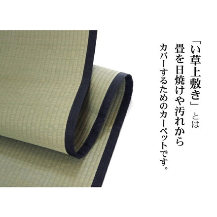 日本製 ラグ カーペット い草上敷 敷き詰めタイプ 純国産 い草 上敷き カーペット 麻綿織 『清正』 本間3畳(約191×286cm)