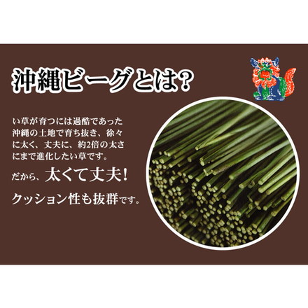 純国産 沖縄ビーグのラグ 『DX沖縄ビーグ』 約191×250cm（裏:不織布）