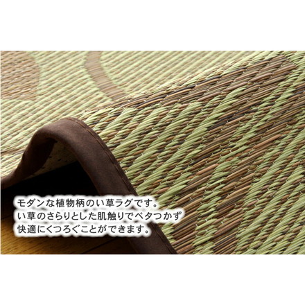 ラグ カーペット マット い草 中敷 リーフ柄 い草ラグ 『NSプラハ』 ブラウン