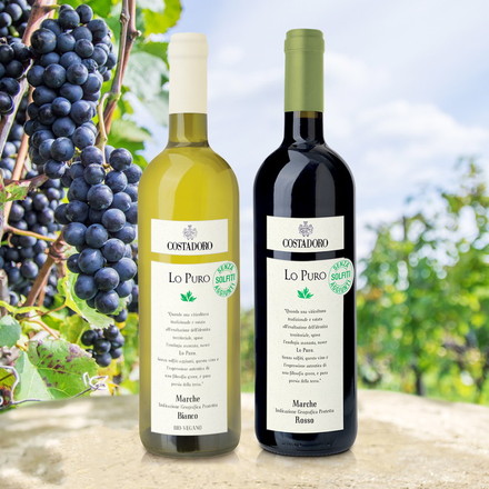 コスタドーロ ロ・プーロ 赤白セット ワイン ワインセット 2本 赤白 紅白 イタリア イタリアワイン wine 赤ワイン 白ワイン オーガニック 酸化防止剤無添加 750ml