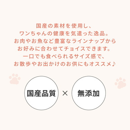 犬用 おやつ 食べ切りサイズ 無添加 お肉 お魚 日本製 国産 犬用おやつ ご飯 mimipets パリパリしゃけ