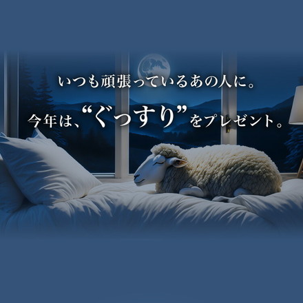 ギフト仕様 いびき軽減枕 パイプ 高さ調節可能 パイプ枕