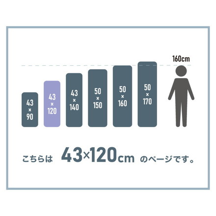 ヌード抱き枕 120cm×43cm 日本製 テイジン製中綿使用 洗える ウォッシャブル 抱き枕中身 本体 中材 妊婦