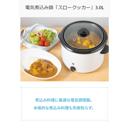 ライソン 電気煮込み鍋 スロークッカー 3.0L ホーロー鍋 電気調理鍋 軽量 ダイヤル 簡単調理 卓上調理 水洗い 丸洗い 節電 火を使わない カレー KDPC-30BW LITHON