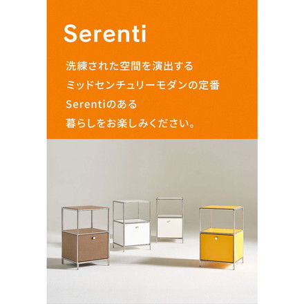 ステンレス モジュールキャビネット 40cm 2段 完成品 オールステンレス ミッドセンチュリー モジュール家具 モジュール棚 収納ラック 壁面 収納 キャビネット 韓国インテリア アルスルイ カーボンブラック