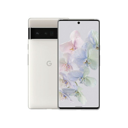 Google Pixel 6 Pro 128GB Stormy Black SIMフリー デュアルSIM 5G対応