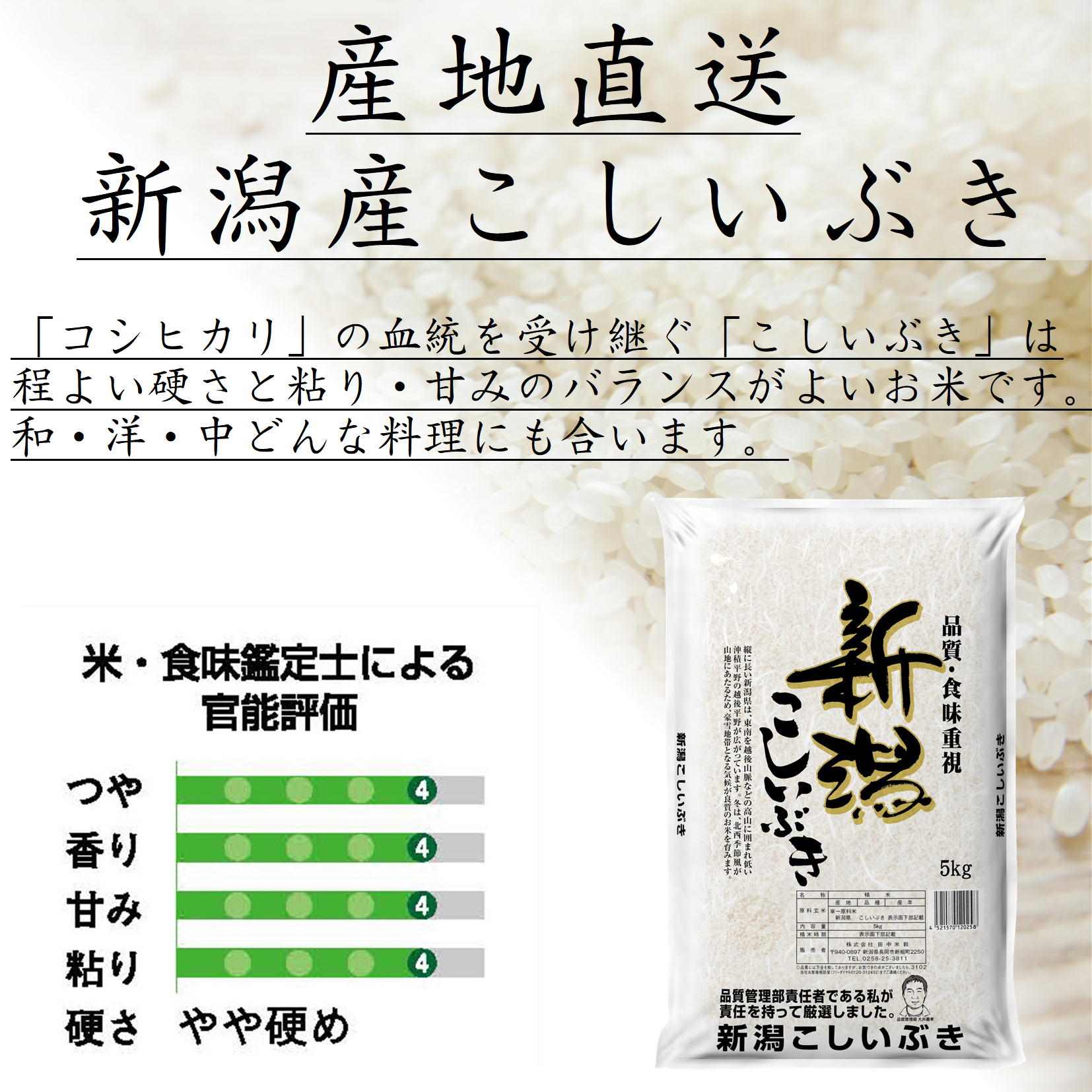 新米 新潟県産 こしいぶき 5kg 令和6年産