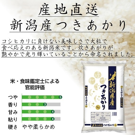 新米 新潟県産 つきあかり 10kg 令和5年産