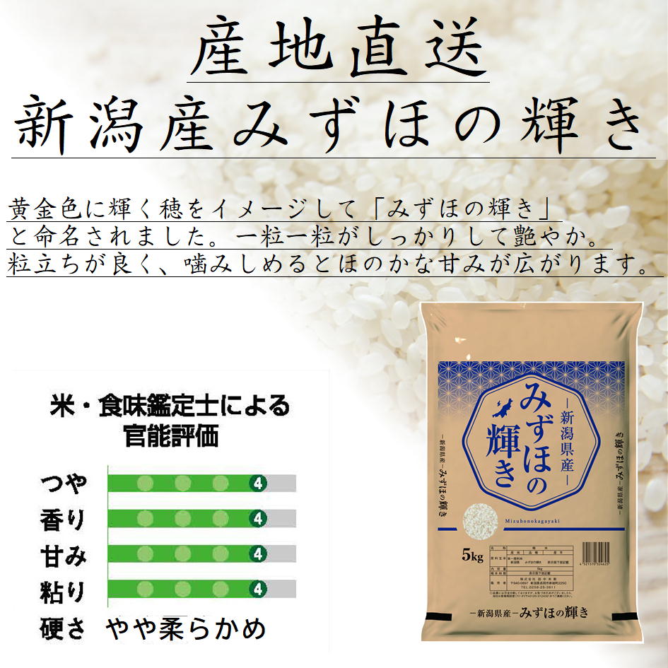 新潟県産 みずほの輝き 5kg 令和7年産