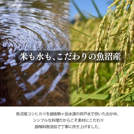 アイリスオーヤマ 発芽玄米おかゆ 250g×5個セット