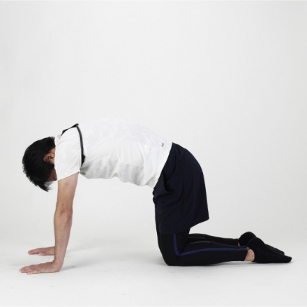 アルインコ 姿勢キープチューブ EXG162K ブラック