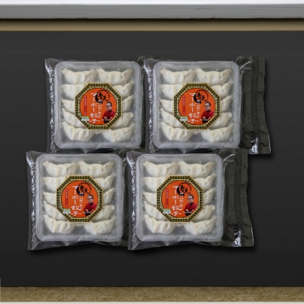 奈良 「中華処 青天」 四川山椒が香る マーボー餃子セット　18g×10個入トレー×4トレー