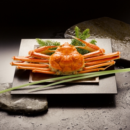 ボイルずわいがに姿　450g×1杯