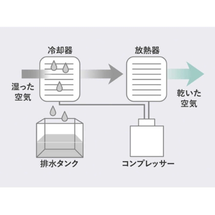 衣類乾燥除湿機 シャープ コンプレッサー方式 プラズマクラスター 木造23畳まで 鉄筋47畳まで CV-T190-W ホワイト