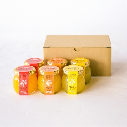 和歌山 「伊藤農園」 ピュアフルーツ寒天ジュレ(みかん、きよみ×各2、はっさく、あまなつ×各1)