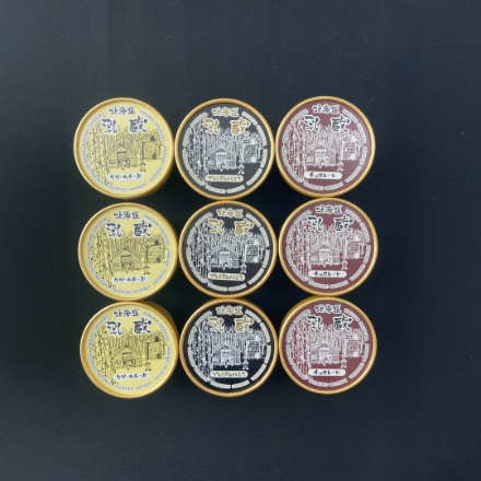 北海道 「乳蔵」 北海道プレミアムアイスクリーム3種（プレミアムバニラ、チョコ、クリームチーズ各3）計9個