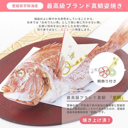 花むすび・えん お食い初め膳 まなつづみ agney 食器セット付 ●鯛1.5kg