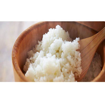 令和7年産 雪蔵仕込み氷温熟成 新潟産こしひかり 4kg（2kg×2袋）