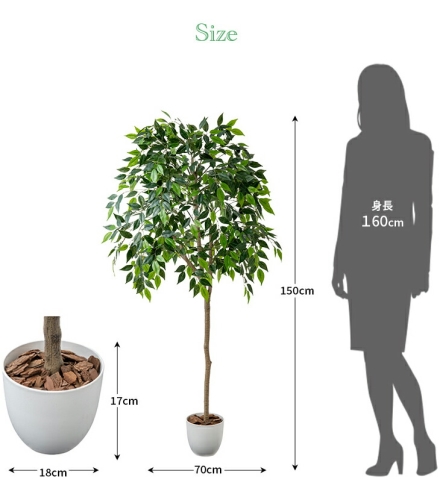 人工観葉植物 ベンジャミン 光触媒 フェイクグリーン