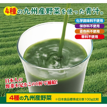 4種の九州産 野菜 青汁 3g×30包