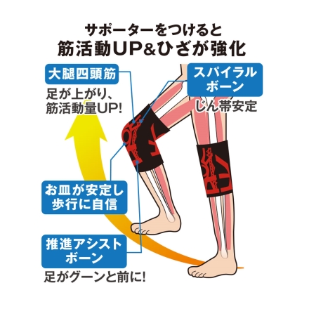 織田式ひざを鍛えるひざサポーター 2足4枚組 テーピング理論 人工筋肉 温熱効果 ラジウム ブラックシリカ 遠赤外線 歩行サポート 膝 安定 洗える
