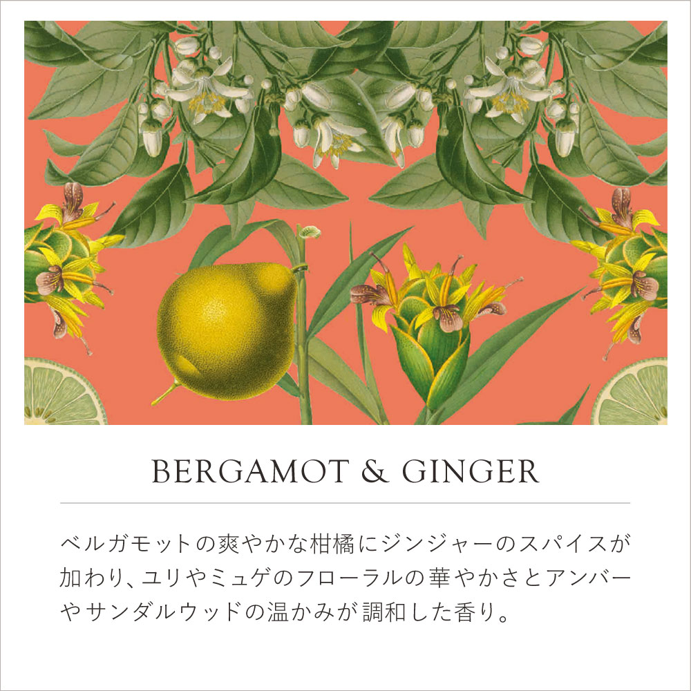 English Soap Company イングリッシュソープカンパニー KEW GARDEN キュー・ガーデン Luxury Hand Cream ラグジュアリーハンドクリーム Bergamot & Ginger ベルガモット＆ジンジャー