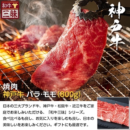 焼肉 カルビ バラ / 赤身 モモ 800g 神戸牛 A5 A4 肉 熨斗なし