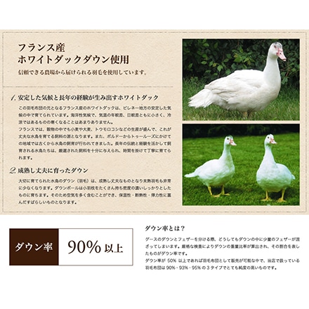 羽毛布団 ダブル フランス産 ホワイトダッグ 90％ エクセルゴールドラベル 日本製