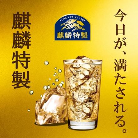 キリン 麒麟 特製 ジンジャーエール サワー 350ml缶×24本 長S