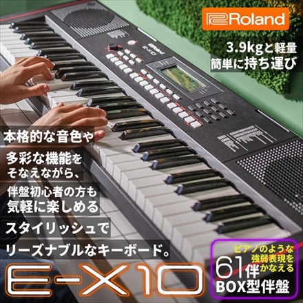 ローランド キーボード Arranger Keyboard E-X10