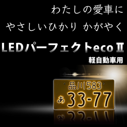 井上工業 字光式ナンバープレート ガンメタ LEDパーフェクトecoII 軽自動車対応 2526-12V-G 2枚セット