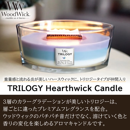 カメヤマキャンドル WoodWick WW トリロジーハースウィックL フルーツテンプテーションズ WW940054001