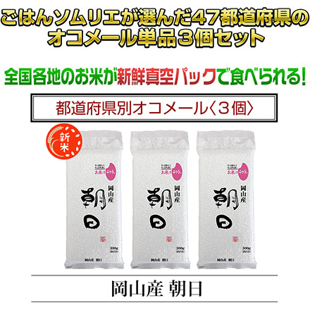 新米 白米 岡山県産 朝日 900g 令和6年産