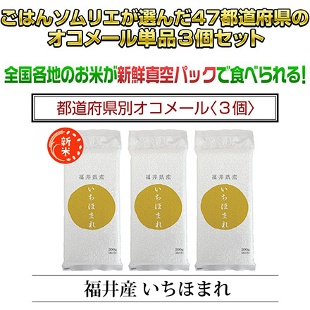 新米 白米 福井県産 いちほまれ 900g 特A評価 令和6年産