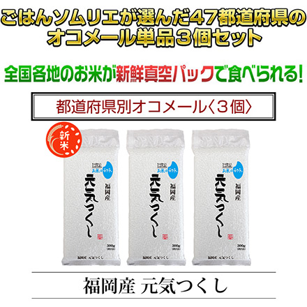 新米 白米 福岡県産 元気つくし 900g 特A評価 令和6年産