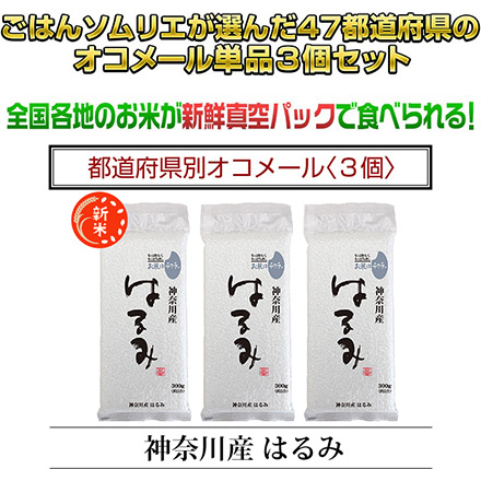 新米 白米 神奈川県産 はるみ 900g 令和6年産