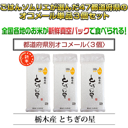 新米 白米 栃木県産 とちぎの星 900g 令和6年産