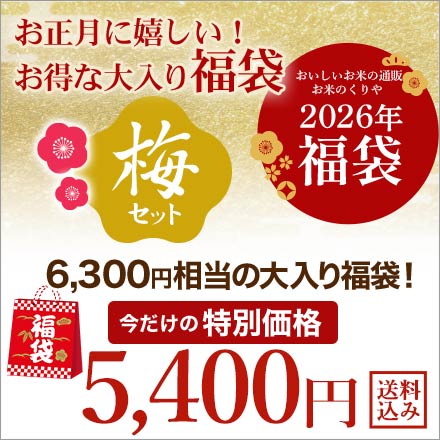 新米 白米 お得でめでたい福袋セット 梅 お米は令和7年産