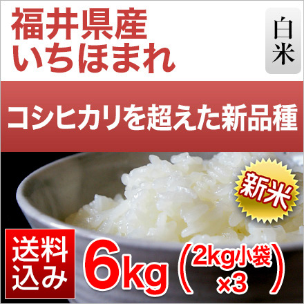 新米 白米 福井県産 いちほまれ 6kg 2kg×3袋 特A評価 令和6年産