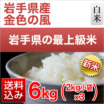 新米 白米 岩手県産 金色の風 2kg×3袋 計6kg 令和6年産