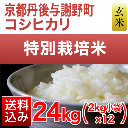 玄米 京都丹後与謝野町産 コシヒカリ 24kg 2kg×12袋 特別栽培米 令和5年産