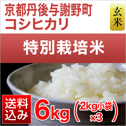 玄米 京都丹後与謝野町産 コシヒカリ 6kg 2kg×3袋 特別栽培米 令和6年産