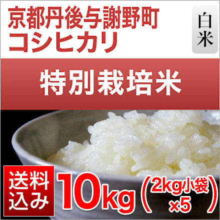 白米 京都丹後与謝野町産 コシヒカリ 10kg 2kg×5袋 特別栽培米 令和5年産