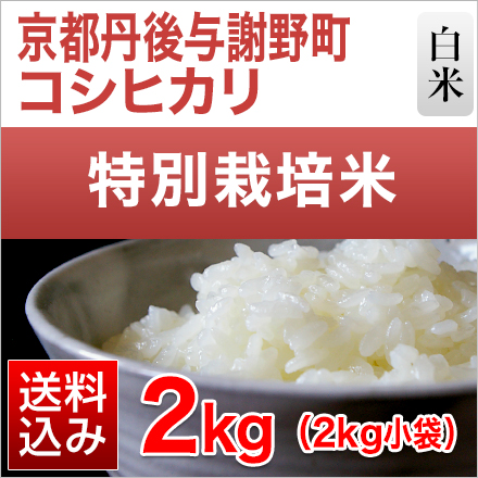 白米 京都丹後与謝野町産 コシヒカリ 2kg 特別栽培米 令和5年産