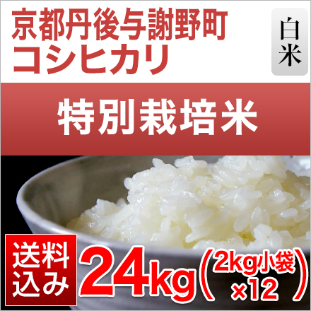 白米 京都丹後与謝野町産 コシヒカリ 24kg 2kg×12袋 特別栽培米 令和5年産