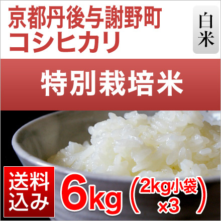 白米 京都丹後与謝野町産 コシヒカリ 6kg 2kg×3袋 特別栽培米 令和6年産