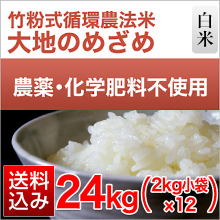 白米 竹粉式循環農法米 大地のめざめ （熊本県産 ヒノヒカリ） 24kg 2kg×12袋 農薬・化学肥料不使用 令和5年産