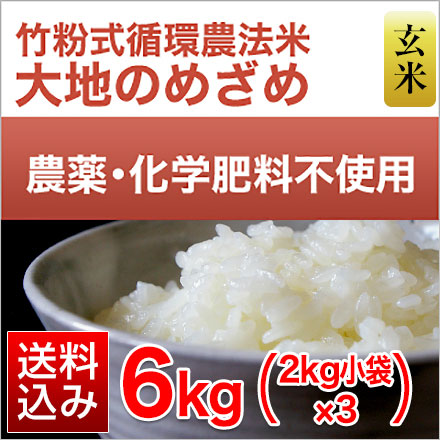 玄米 竹粉式循環農法米 大地のめざめ （熊本県産 ヒノヒカリ） 6kg 2kg×3袋 農薬・化学肥料不使用 令和7年産