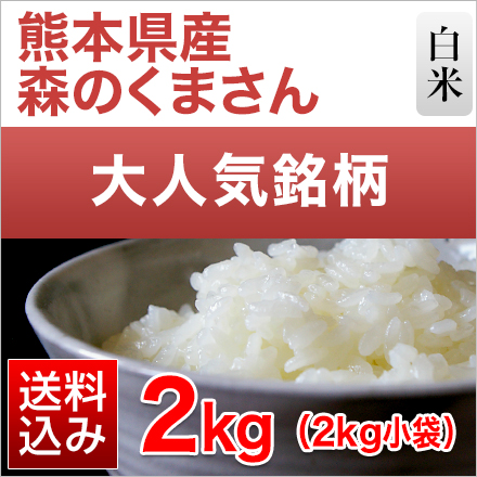 白米 熊本県産 森のくまさん 2kg×1袋 令和7年産